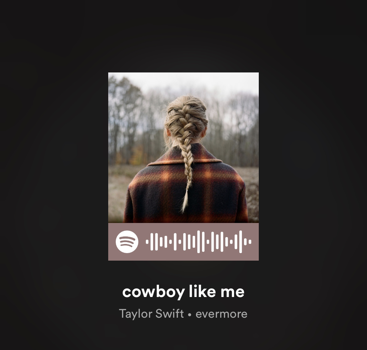 Cowboy Like Me Taylor Swift