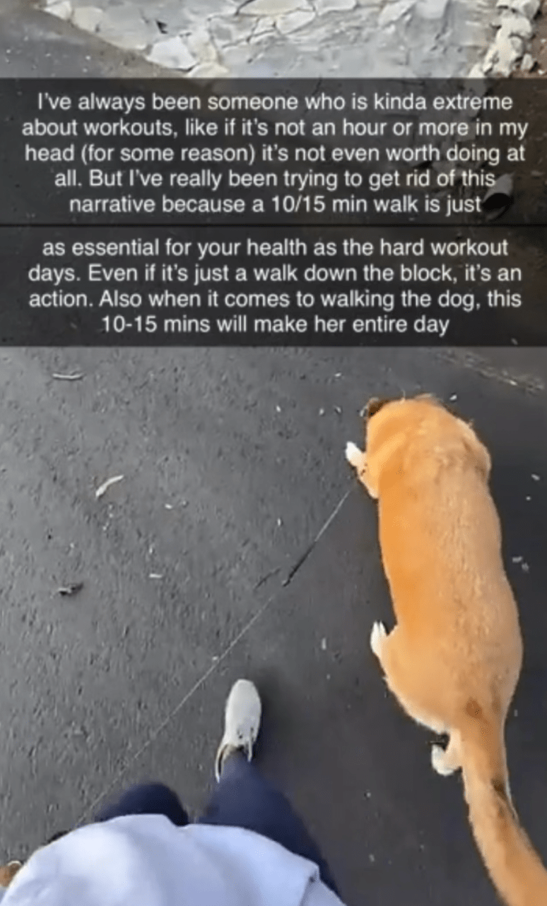 Snapchat photo with text about how sometimes a walk is the perfect amount of exercise, users foot and dog visible in frame
